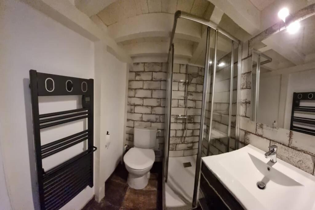 Апартаменты T1 Bis Cosy- Hypercentre - Clim - Metro - Wifi Тулуза Экстерьер фото